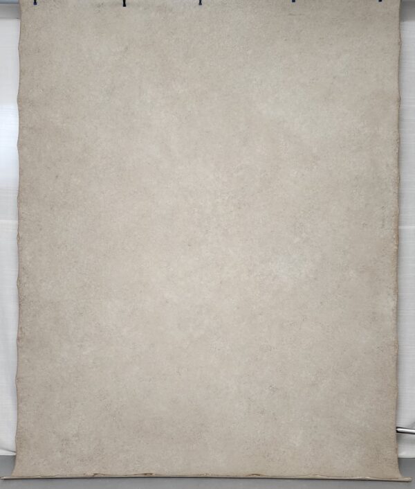 photography backdrop sand 6x8