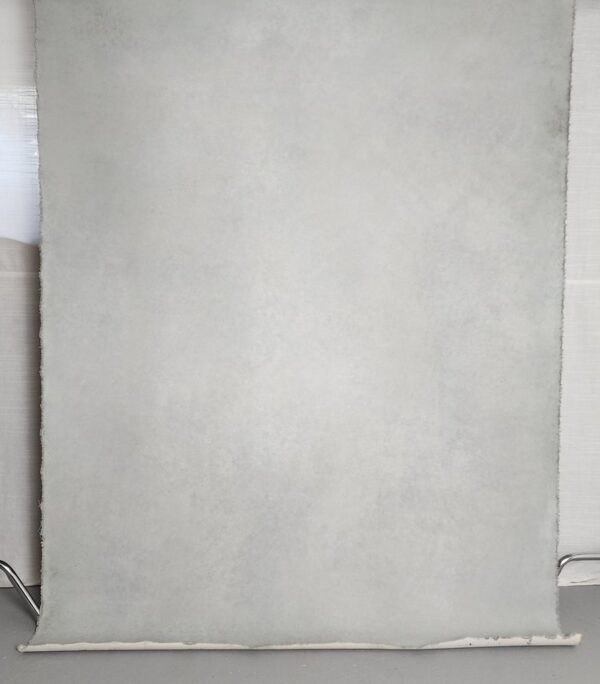 backdrops for photography