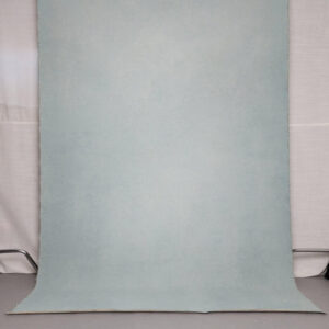photography backdrop 6x9 canvas hand painted