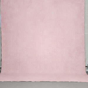 Hand-painted cotton canvas backdrop for photography BGBI-0197
