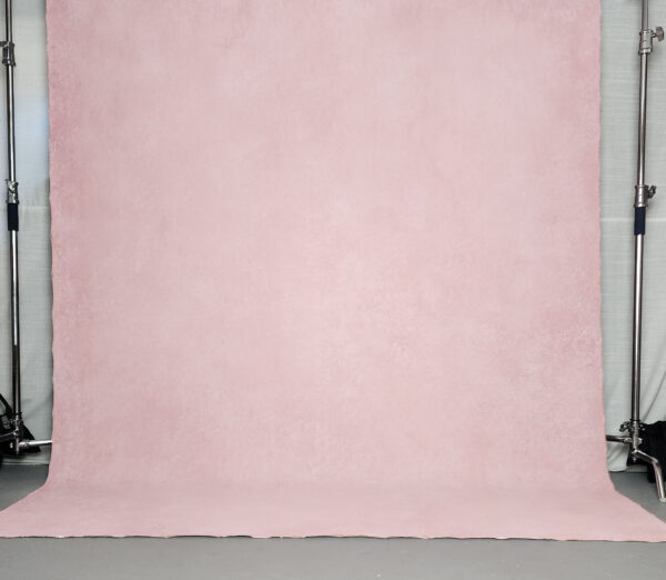 Hand-painted cotton canvas backdrop for photography BGBI-0197