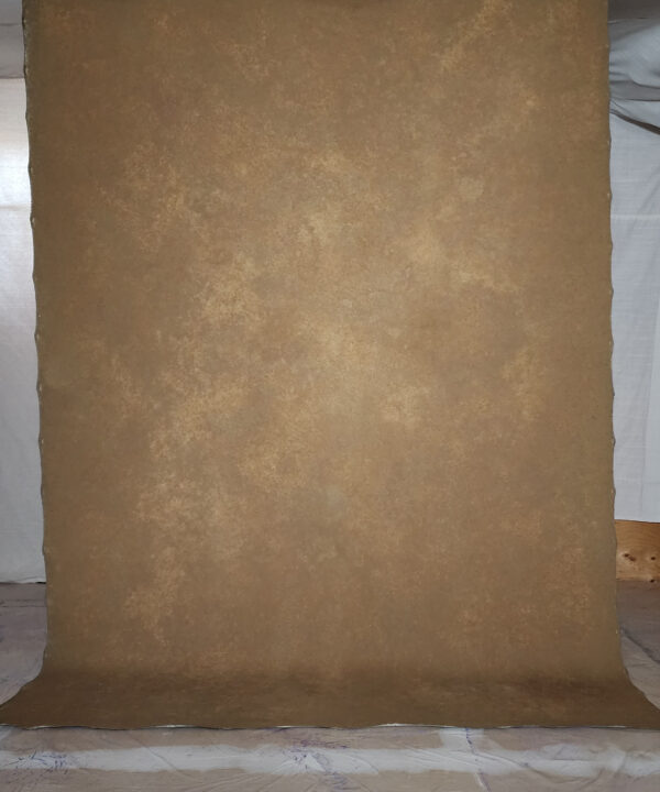 BGBI-271    6’X8’ Photography backdrop - Image 2