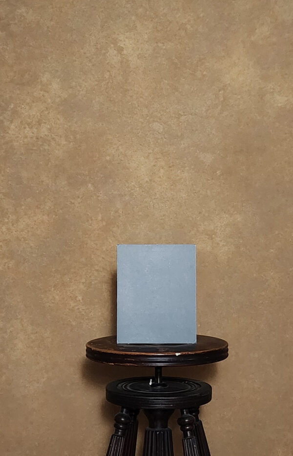 BGBI-271    6’X8’ Photography backdrop - Image 3