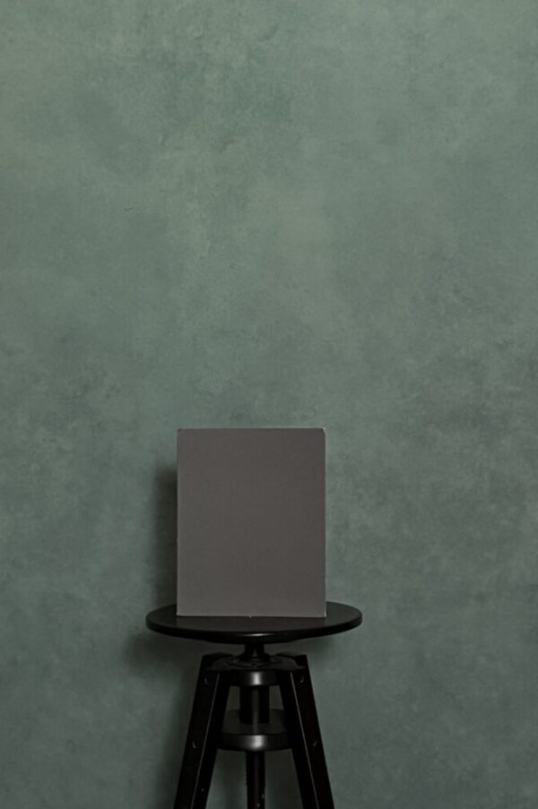 BGBI-427    6’X8’ Photography backdrop - Image 3