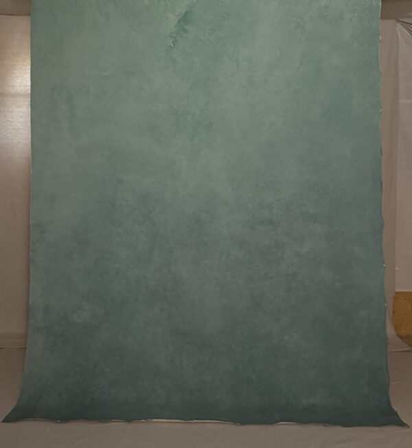BGBI-427    6’X8’ Photography backdrop - Image 2