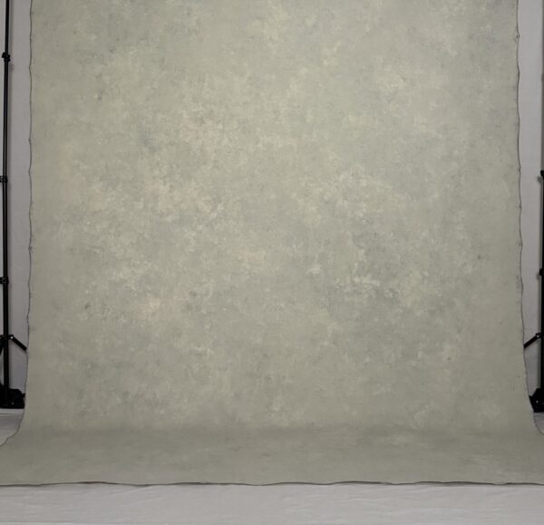 BGBI-382  8’X10’ (243 cm x 304 cm) Photography backdrop - Image 3