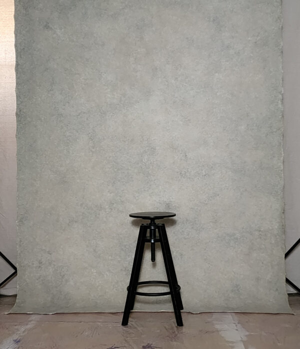BGBI-409    6’X8’  Photography Backdrop