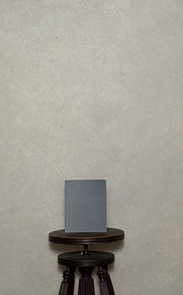 BGBI-411    6’X8’  Photography Backdrop - Image 3