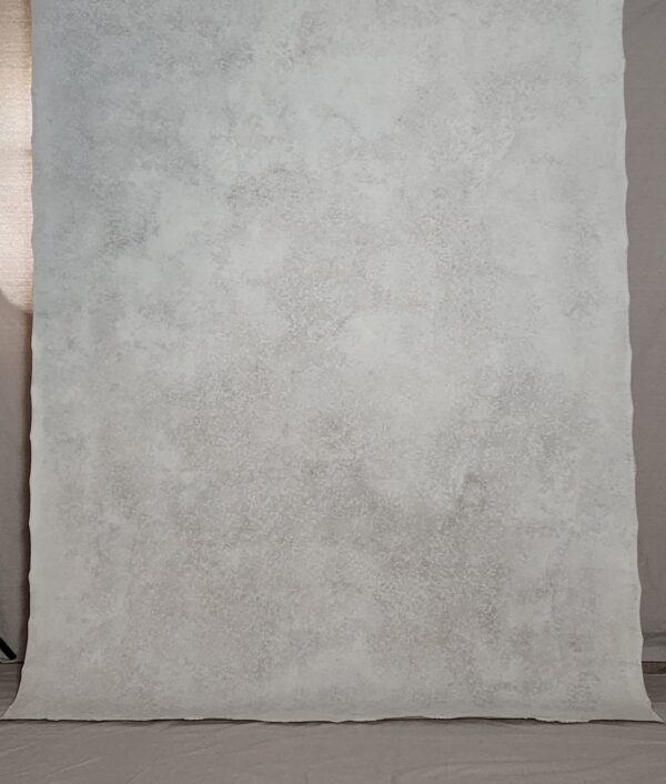 BGBI-445 6’X8’ Photography Backdrop - Image 2