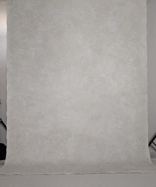 BGBI-446 6’X8’ Photography Backdrop - Image 2