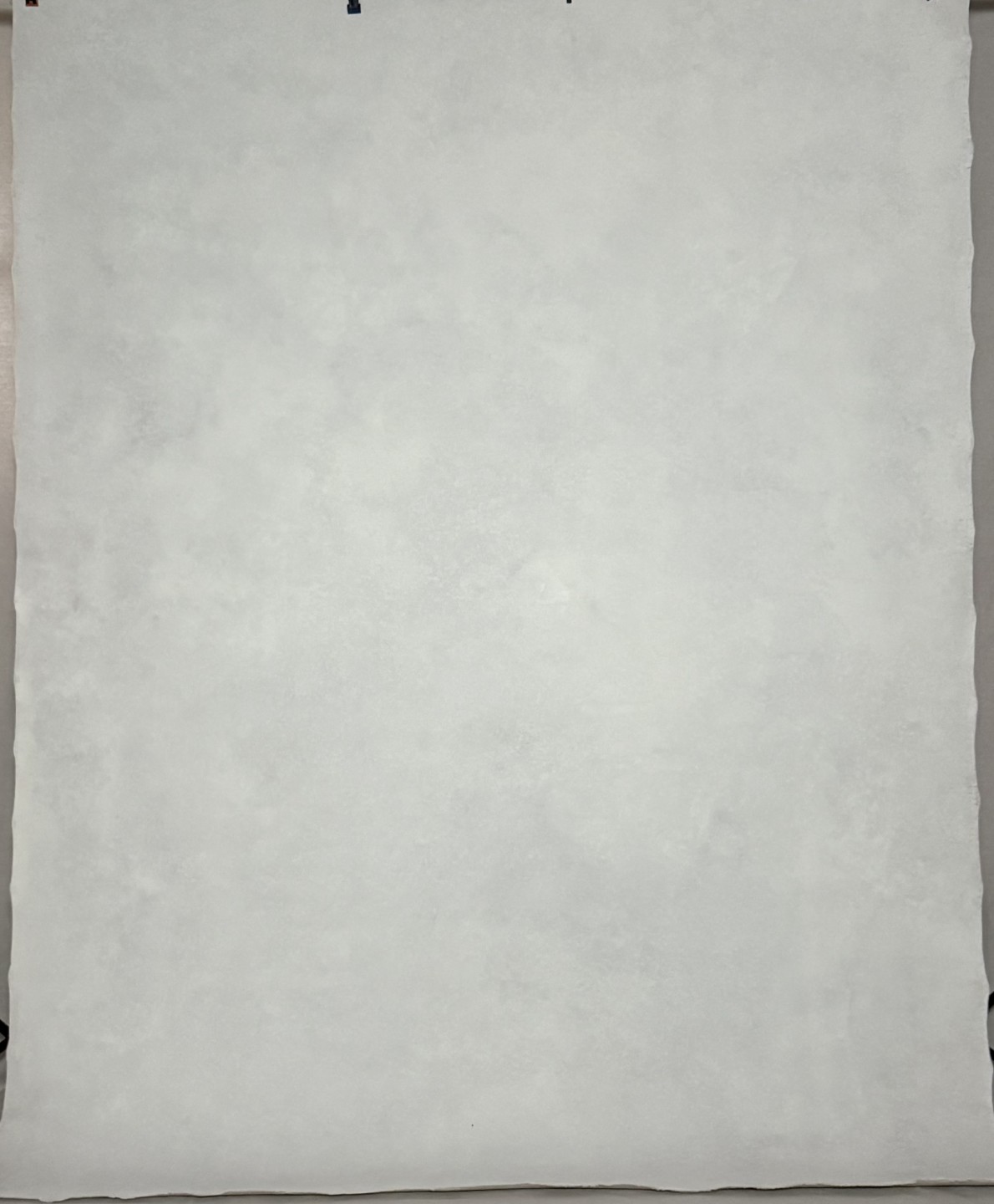 photography backdrop