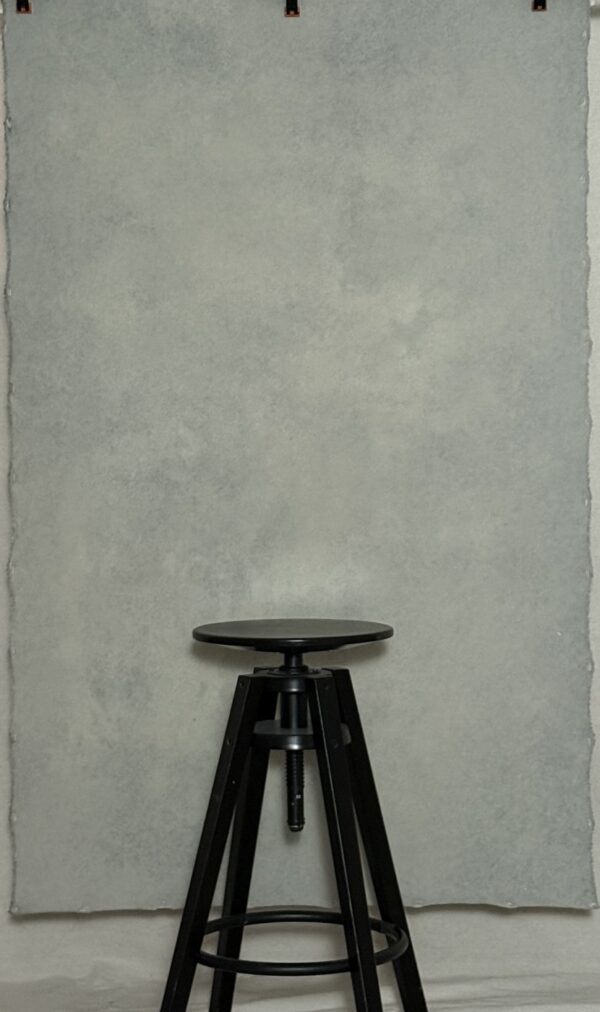 BGBI-437 3’X5’ Photography Backdrop - Image 2