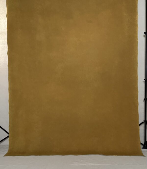 BGBI-455 6’X8’ Photography Backdrop - Image 2