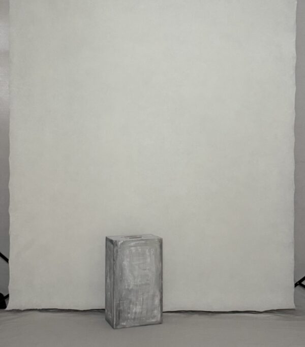 BGBI-444 6’X7’ Photography Backdrop