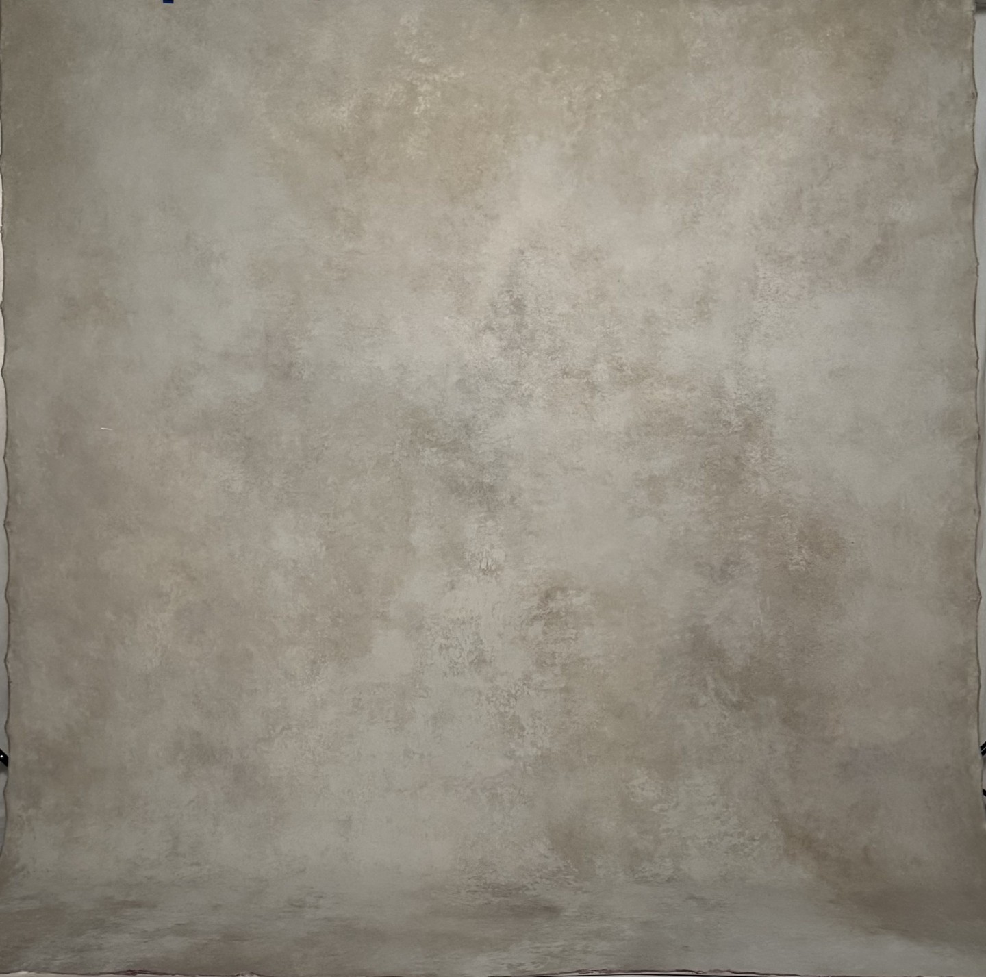 backdrop for photography